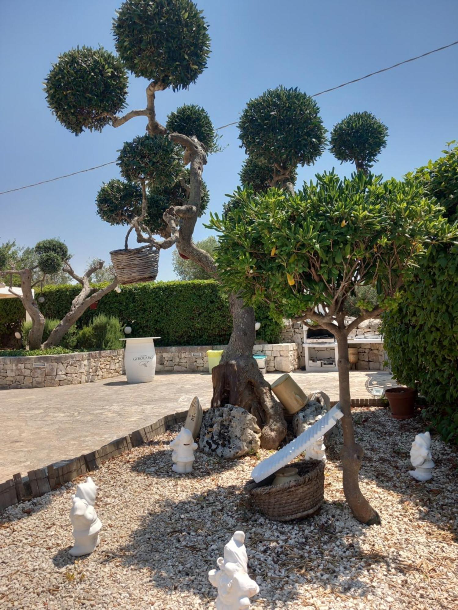 Trullo Monte Del Sale Alberobello Exterior foto